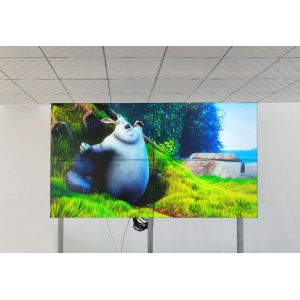 河北邢臺55寸3.5mm2X2工程案例