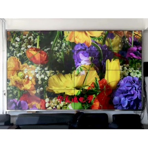 烏蘭察布市環(huán)境保護(hù)局46寸1.7mm4X4工程案例